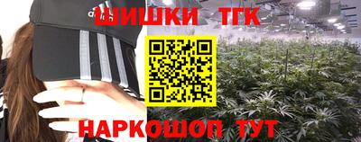 jwh Тула