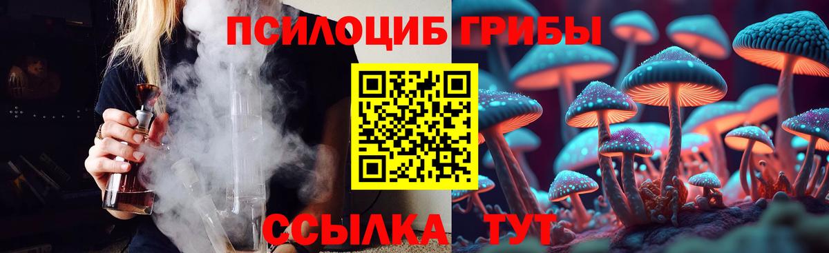 Галлюциногенные грибы Cubensis  Галлюциногенные грибы Psilocybe  Иркутск  Вход с VPN 